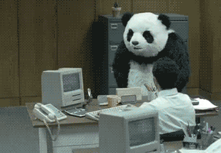 Panda zerstört Schreibtisch
