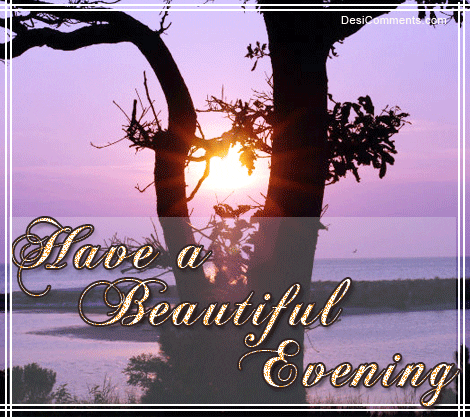 Gif Image Popular Nice Evening Gif