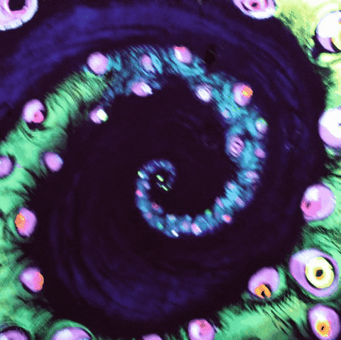 Hypnotic GIF - Find &amp; Share on GIPHY