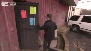 giphy.gif