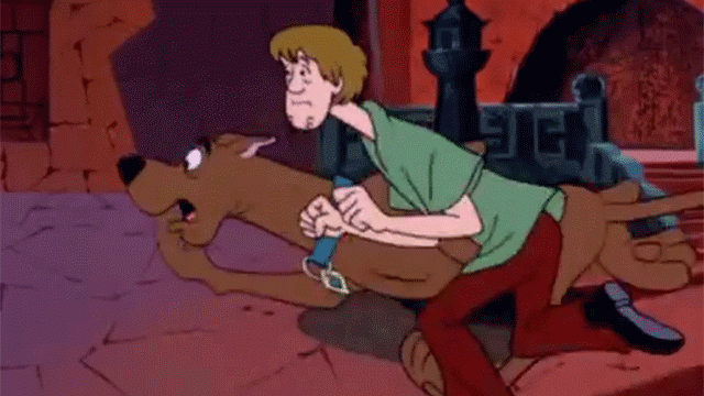 Shaggy Scooby Shaggy Scooby Laughing Discover Share S Images 
