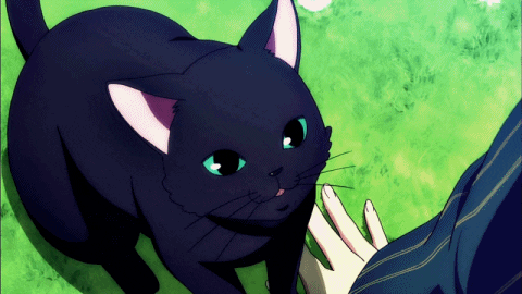 Manga Cat GIFs - Find & Share on GIPHY