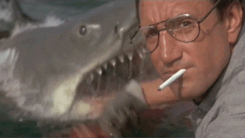 Scene from jaws