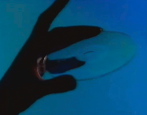 The CD