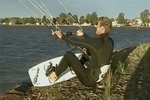giphy.gif