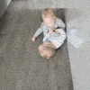 Із зиготи крок за кроком розвивається цілий організм 👶
