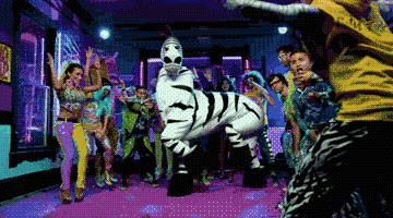Imagen de una fiesta con una zebra bailando!