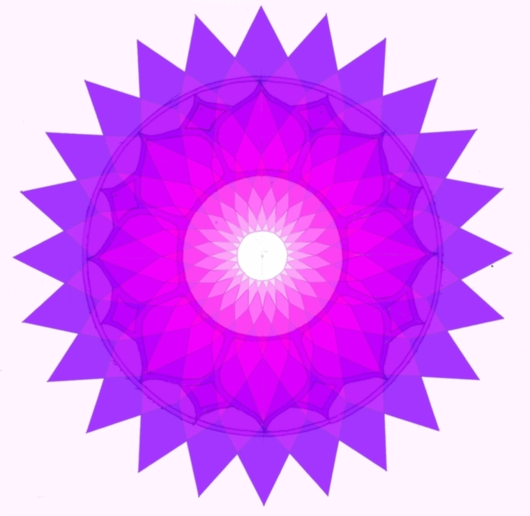 Lotus GIF Find & Share on GIPHY