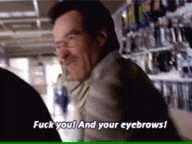 breaking bad bryan cranston walter white insult fuck you and your eyebrows