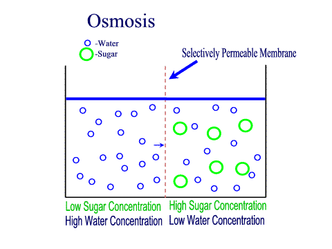 osmosis coinbase