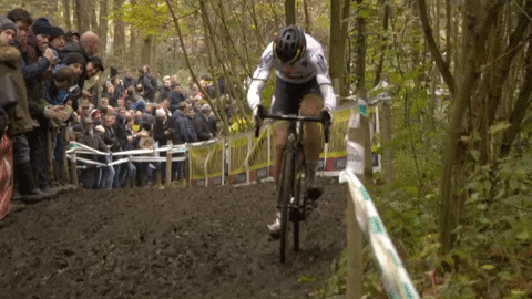 Cycling Struggling GIF by Sporza - Find & Share on GIPHY
