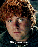 Samwise Gamgee GIF - Find & Share on GIPHY