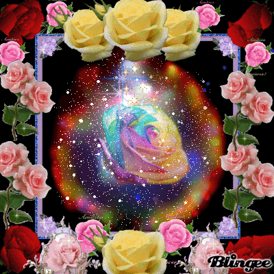 Image result for many wonderful roses blingee