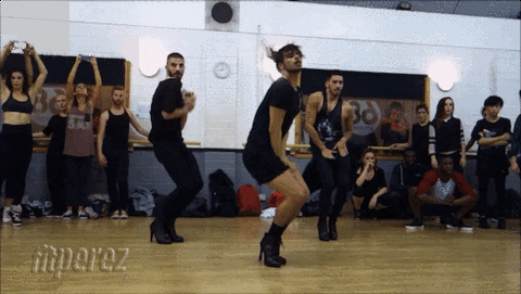 giphy.gif
