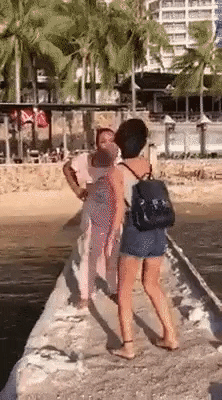 giphy.gif
