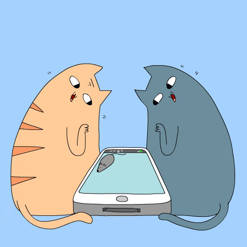 Gif of cartoon cats playing with a smartphone