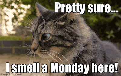 Pretty sure...I smell a Monday here!