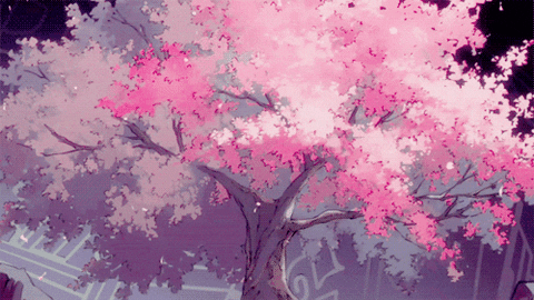 Blossom GIF  Find Share on GIPHY