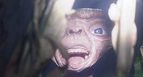 E.T. The Extra-Terrestrial Et GIF by Head Like an Orange - Find & Share on GIPHY