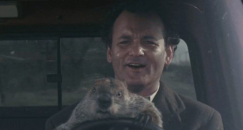 Image result for dont drive angry gif