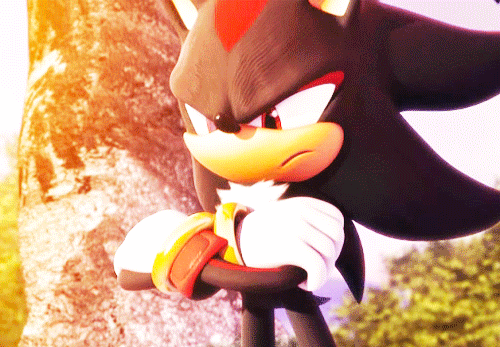 Shadow The Hedgehog GIF - Find & Share on GIPHY