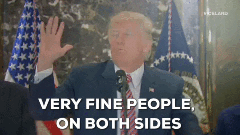 giphy_s.gif