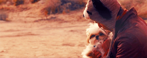 movies dog desert human companion