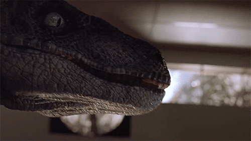 Velociraptors GIFs - Find & Share on GIPHY