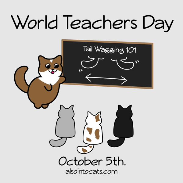 Image result for World Teacher's Day gif