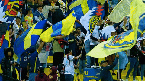 Happy Liga Mx GIF by Club America