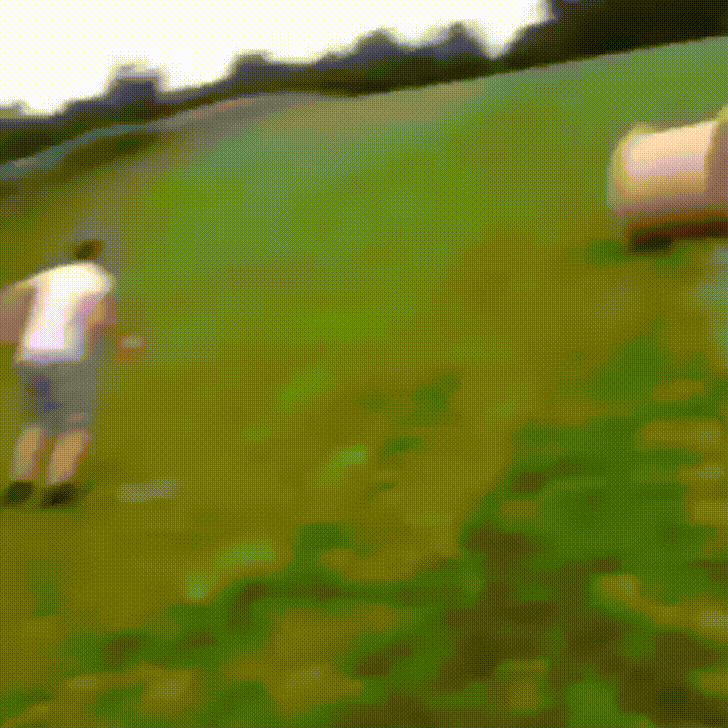 giphy.gif