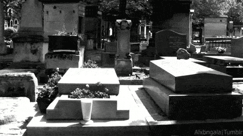 Janeth Rubio Cemetery