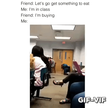 For Free Treats in funny gifs