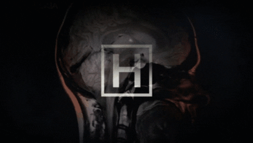 House Gif | watching once again gifs find share on giphy House Gif | watching once again gifs find share on giphy