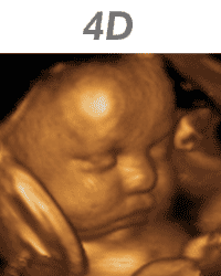 4D GIF - Find & Share on GIPHY