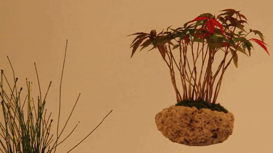 art design tech japan kickstarter