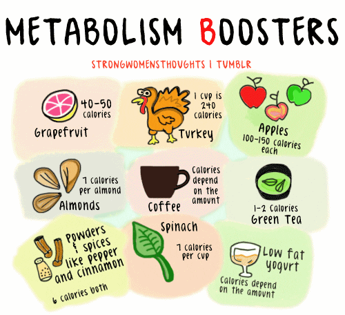 month recipes food 7 baby Find  on GIF  & GIPHY Share Fitspo