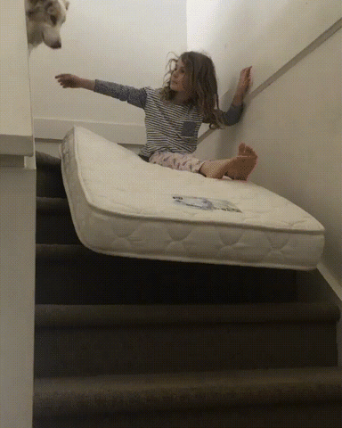 niña y perrito se lanzan de un colchón por las escaleras