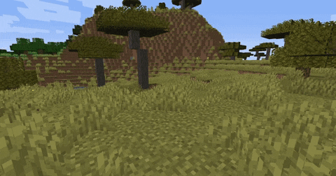 [IMG]