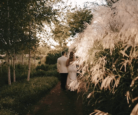 elopement wedding videography