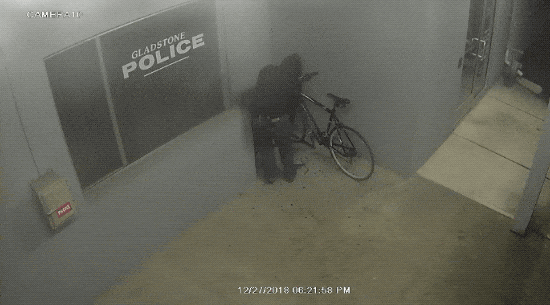 15 раз, когда полицейские оказались в нужное время в нужном месте полиция там где нужна, гифки с полицейскими, полицейские оказались в нужное время в нужном месте