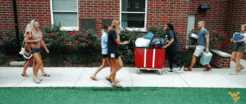 Morgantown Wv College GIF by WestVirginiaU - Find & Share on GIPHY
