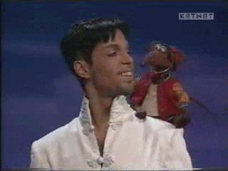 Image result for prince muppet show gifs