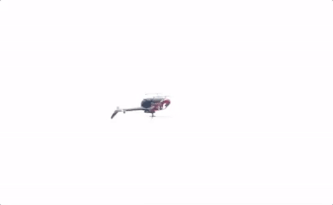 Heli GIF - Find & Share on GIPHY