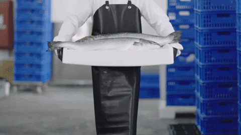 Smoked Salmon Fish GIF by Petrossian