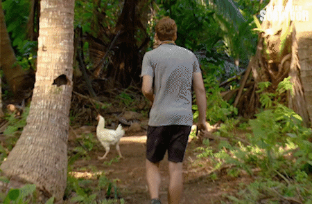 A man chases a chicken as it flies away.