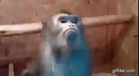 200w.gif