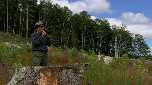 A photographer in a green cut down forest takes a photo and the screen cuts to the black and white photo of a desolated and cut down forest. 