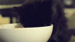 https://media.giphy.com/media/1DAdyVfWmnblm/giphy.gif
