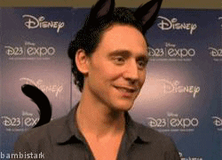 Tom Hiddleston Kitty GIF - Find & Share on GIPHY